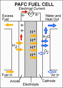 Diagram: How a Phosphoric Acid Fuel Cell (PAFC) works. A PAFC consists of liquid phosphoric acid electrolyte sandwiched between an anode (negatively charged electrode) and a cathode (positively charged electrode). The processes that take place in the fuel cell are as follows: 1. Hydrogen fuel is channeled through field flow plates to the anode on one side of the fuel cell, while oxygen from the air is channeled to the cathode on the other side of the cell.  2. At the anode, a platinum catalyst causes the hydrogen to split into positive hydrogen ions (protons) and negatively charged electrons.  3. The phosphoric acid electrolyte allows only the positively charged ions to pass through it to the cathode.  The negatively charged electrons must travel along an external circuit to the cathode, creating an electrical current.  4. At the cathode, the electrons and positively charged hydrogen ions combine with oxygen to form water, which flows out of the cell.